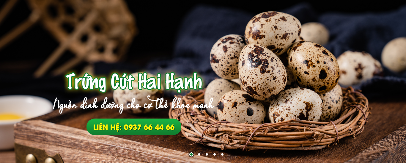 Trứng Cút Hai Hạnh | Cung Cấp Sỉ Lẻ Trứng Cút Tại TPHCM