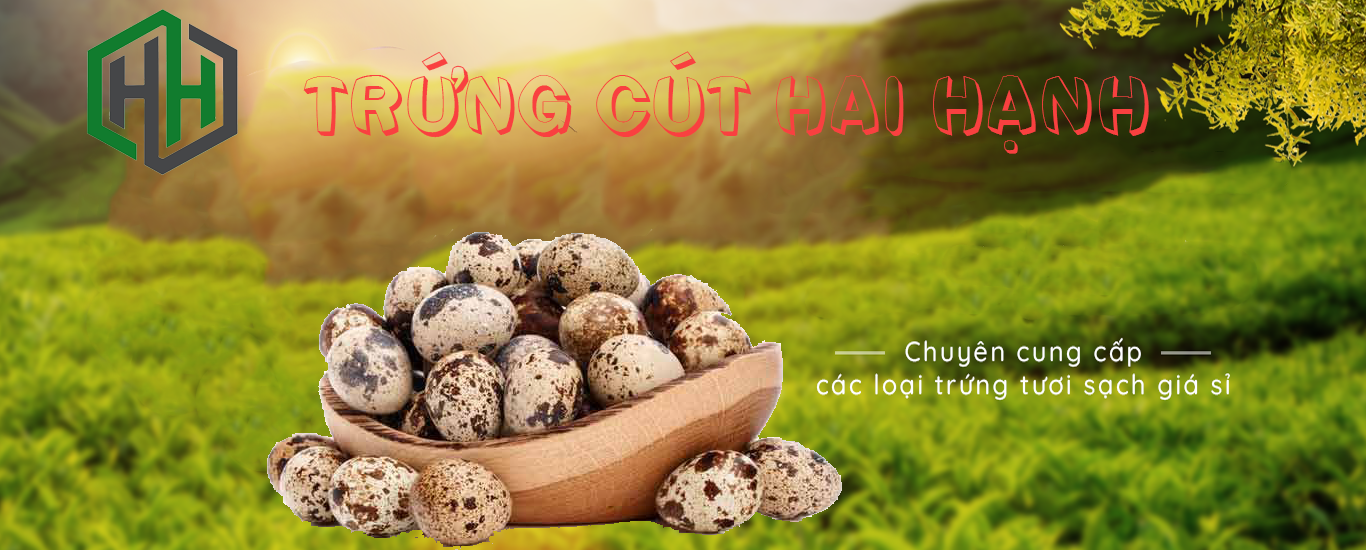 Trứng Cút Hai Hạnh | Cung Cấp Sỉ Lẻ Trứng Cút Tại TPHCM