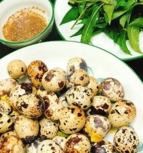 Trứng cút lộn trung