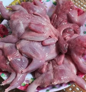Chim cút làm sạch