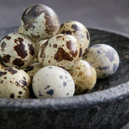 Trứng cút lạt nhỏ