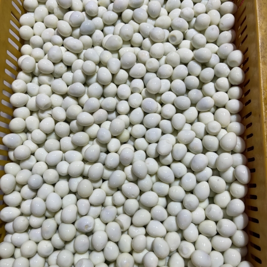 Trứng cút bóc vỏ