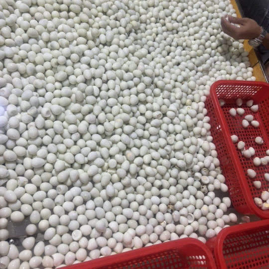 Trứng cút bóc vỏ