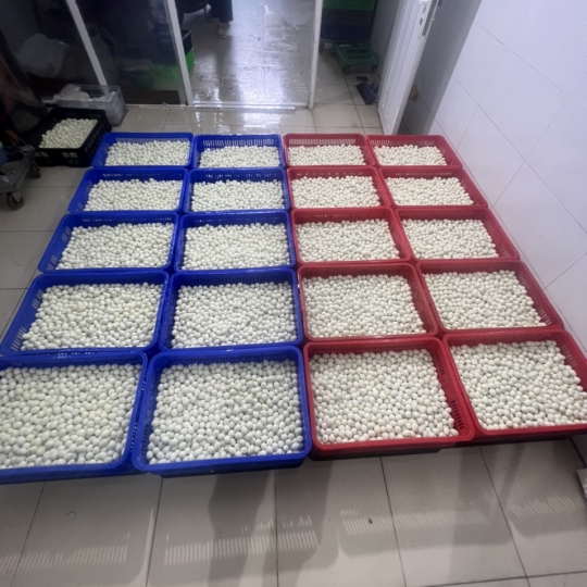 Trứng cút lột vỏ lớn
