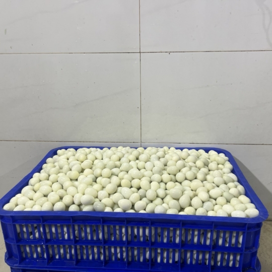 Trứng cút lột vỏ lớn
