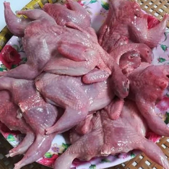 Chim cút làm sạch
