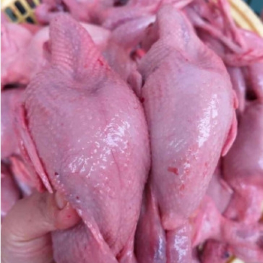 Chim cút làm sạch