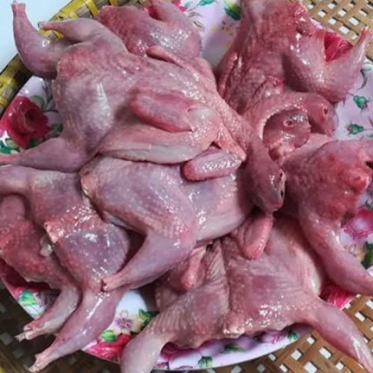 Chim cút làm sạch